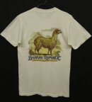 画像: 80'S BANANA REPUBLIC "アニマルプリント" ポケット付き Tシャツ (VINTAGE) 「T-Shirt」 入荷しました。