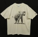 画像: 80'S STERNBERG MUSEUM "ONCE A RHINO" シングルステッチ アート Tシャツ USA製 (VINTAGE) 「T-Shirt」 入荷しました。