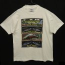 画像: 90'S RAY TROLL シングルステッチ 半袖 Tシャツ ホワイト USA製 (VINTAGE) 「T-Shirt」 入荷しました。