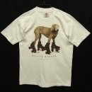 画像: 90'S WILLIAM WEGMAN "ROLLER ROVER" FOTOFOLIO製 半袖 Tシャツ USA製 (VINTAGE) 「T-Shirt」 入荷しました。
