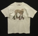 画像: 90'S WILLIAM WEGMAN "ROLLER ROVER" FOTOFOLIO製 シングルステッチ 半袖 Tシャツ ホワイト USA製 (VINTAGE) 「T-Shirt」入荷しました。