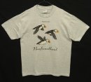 画像: 90'S ATLANTIC PUFFINS 半袖 Tシャツ アッシュグレー (VINTAGE) 「T-Shirt」入荷しました。