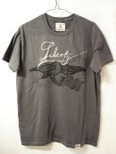 画像: TAILGATE 「T-shirt」 入荷しました。