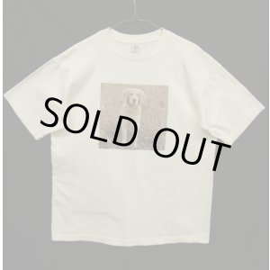 画像: 90'S GAP "ラブラドールレトリバー" フォト Tシャツ (VINTAGE)