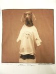 画像2: 90'S WILLIAM WEGMAN x amfAR（エイズ研究財団） "MASCOT" 半袖Tシャツ USA製 (VINTAGE)