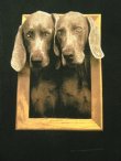 画像2: 90'S WILLIAM WEGMAN x ASPEN ART MUSEUM "FRAMED" FOTOFOLIO製 Tシャツ USA製 (VINTAGE)