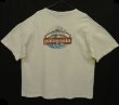 画像1: 90'S PATAGONIA "BOSTONストア限定" 黒タグ 北斎波プリント 半袖Tシャツ USA製 (VINTAGE)