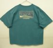 画像1: 90'S PATAGONIA 黒タグ バックプリント 半袖 Tシャツ ティール USA製 (VINTAGE)