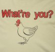 画像3: WHAT'RE YOU? 半袖 Tシャツ ホワイト (VINTAGE)