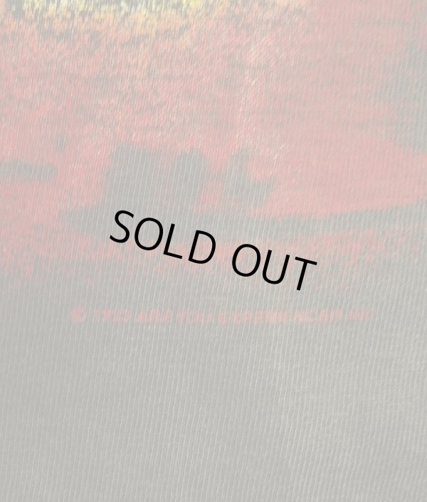 画像4: 90'S JIMI HENDRIX 両面プリント シングルステッチ 半袖 Tシャツ フェードブラック (VINTAGE)