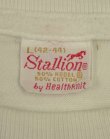 画像2: 60'S A.W.S. "STALLION by HEALTHKNIT" シングルステッチ 染み込みプリント 半袖 Tシャツ ホワイト USA製 (VINTAGE)