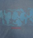 画像3: 90'S PATAGONIA 黒タグ 両面プリント 半袖 Tシャツ フェードブルー USA製 (VINTAGE)