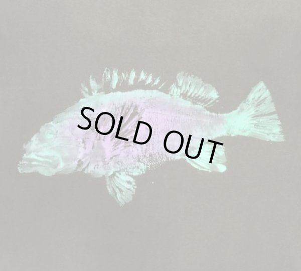 画像3: 80'S FISH PRINT シングルステッチ 半袖 Tシャツ フェードブラック USA製 (VINTAGE)