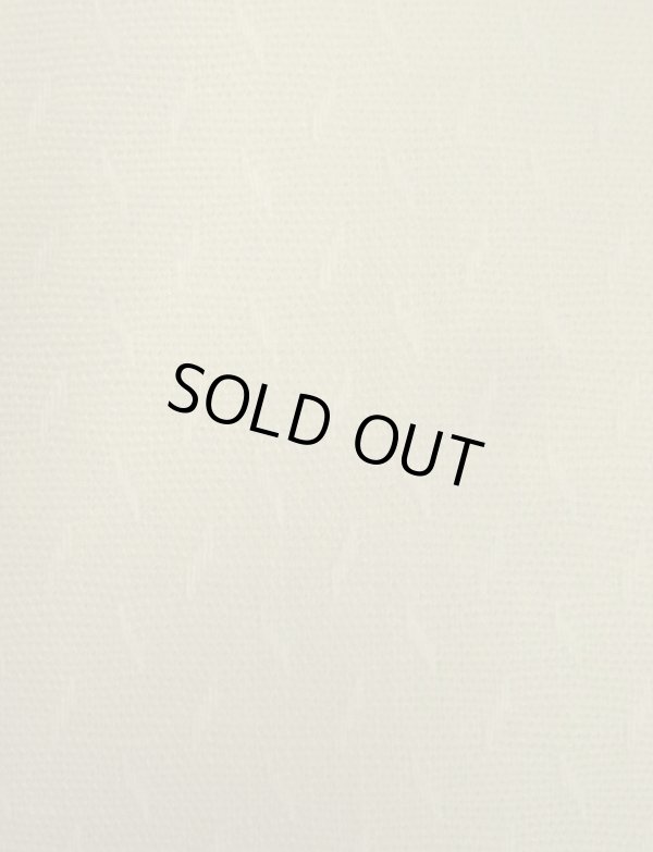 画像4: 60'S UNKNOWN コットンジャガード 半袖 イタリアンカラーシャツ ホワイト (VINTAGE)