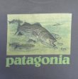 画像2: PATAGONIA バックプリント 半袖 Tシャツ フェードブルー USA製 (VINTAGE)