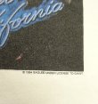 画像4: 90'S EAGLES "HELL FREEZES OVER 1995" シングルステッチ 半袖 Tシャツ ホワイト USA製 (VINTAGE)