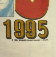 画像7: 90'S EAGLES "HELL FREEZES OVER 1995" シングルステッチ 半袖 Tシャツ ホワイト USA製 (VINTAGE)
