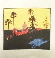 画像3: 90'S EAGLES "HELL FREEZES OVER 1995" シングルステッチ 半袖 Tシャツ ホワイト USA製 (VINTAGE)