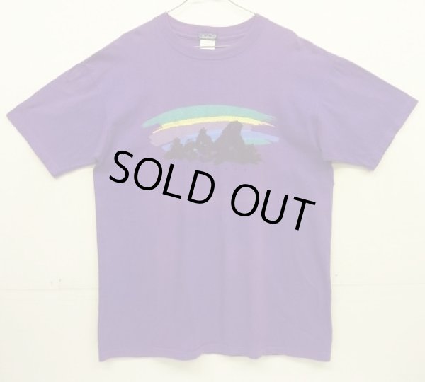 画像1: 80~90'S PATAGONIA 旧タグ シングルステッチ 半袖 Tシャツ グレープ USA製 (VINTAGE)