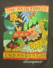 画像3: 80'S THE RAIN FOREST シングルステッチ 半袖 Tシャツ フェードブラック USA製 (VINTAGE)