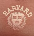 画像3: 80'S HARVARD シングルステッチ 半袖 Tシャツ フェードバーガンディ USA製 (VINTAGE)