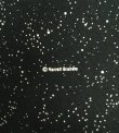 画像4: 00'S HARRELL GRAHAM "YOU ARE HERE" 半袖 Tシャツ ブラック (VINTAGE)