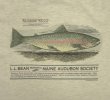 画像5: 90'S LL Bean "HARBORSIDE GRAPHICS" 両面プリント 半袖 Tシャツ アッシュグレー (VINTAGE)