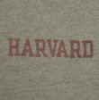 画像3: 70'S CHAMPION "HARVARD" バータグ 88/12 染み込みプリント シングルステッチ 半袖 Tシャツ ヘザーグレー USA製 (VINTAGE)