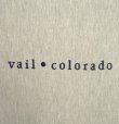 画像3: 90'S CHAMPION "VAIL COLORADO" 刺繍タグ リバースウィーブ グレー USA製 (VINTAGE)