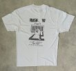 画像4: 90'S MIT (マサチューセッツ工科大学) ZETA PSI シングルステッチ 両面プリント 半袖 Tシャツ ホワイト USA製 (VINTAGE)