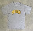 画像1: 90'S SAND-KNIT "MICHIGAN" 半袖 Tシャツ ヘザーグレー (VINTAGE)