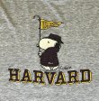 画像3: 80'S HARVARD x SNOOPY シングルステッチ 半袖 Tシャツ ヘザーグレー (VINTAGE)