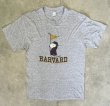 画像1: 80'S HARVARD x SNOOPY シングルステッチ 半袖 Tシャツ ヘザーグレー (VINTAGE)