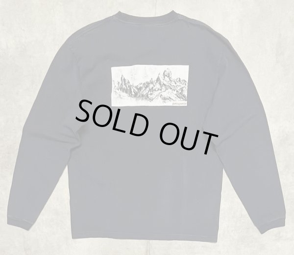 画像1: 90'S PATAGONIA "BENEFICIAL T'S" バックプリント 長袖 Tシャツ ネイビー メキシコ製 (VINTAGE)