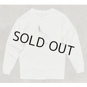 画像: 90'S PATAGONIA "BENEFICIAL T'S" 長袖 Tシャツ ホワイト USA製 (VINTAGE)