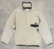 画像1: 90'S PATAGONIA "SYNCHILLA SNAP-T" プルオーバー フリースジャケット オートミール メキシコ製 (VINTAGE)