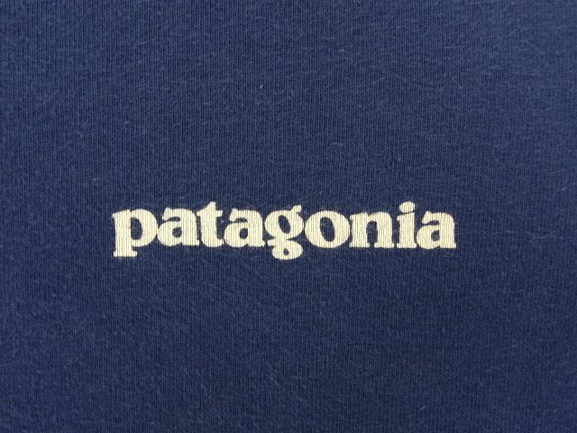 画像: PATAGONIA "冨士三十六景　駿河薩タ之海上" 長袖 Tシャツ USA製 (VINTAGE)