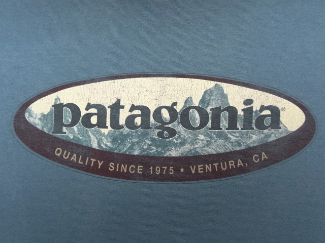 画像: PATAGONIA 白タグ バックプリント ロゴ 半袖Tシャツ USA製 (USED)