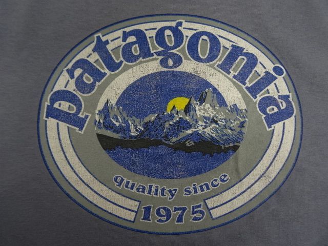 画像: PATAGONIA 白タグ バックプリント ロゴ 半袖Tシャツ USA製 (USED)