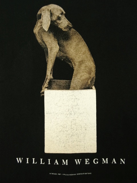 画像: 80'S WILLIAM WEGMAN "IN THE BOX" FOTOFOLIO製 Tシャツ USA製 (VINTAGE)
