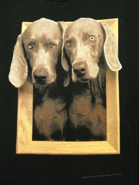 画像: 90'S WILLIAM WEGMAN "FRAMED" FOTOFOLIO製 半袖 Tシャツ USA製 (DEADSTOCK)