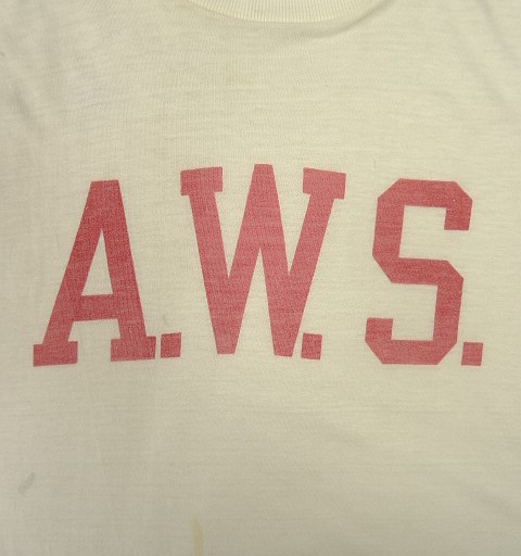 画像3: 60'S A.W.S. "STALLION by HEALTHKNIT" シングルステッチ 染み込みプリント 半袖 Tシャツ ホワイト USA製 (VINTAGE)