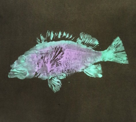 画像3: 80'S FISH PRINT シングルステッチ 半袖 Tシャツ フェードブラック USA製 (VINTAGE)