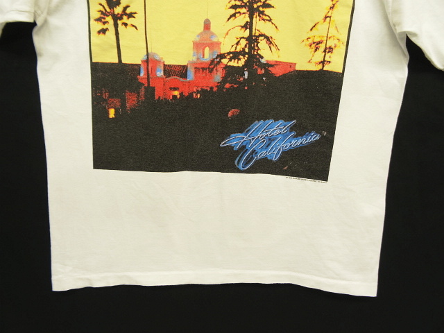 画像: 90'S EAGLES "HELL FREEZES OVER 1995" シングルステッチ 半袖 Tシャツ ホワイト USA製 (VINTAGE)