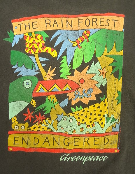 画像3: 80'S THE RAIN FOREST シングルステッチ 半袖 Tシャツ フェードブラック USA製 (VINTAGE)