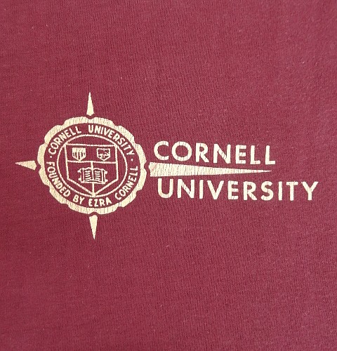 画像3: 70'S CHAMPION "CORNELL UNIVERSITY" バータグ シングルステッチ 半袖 リンガー Tシャツ バーガンディ USA製 (VINTAGE)