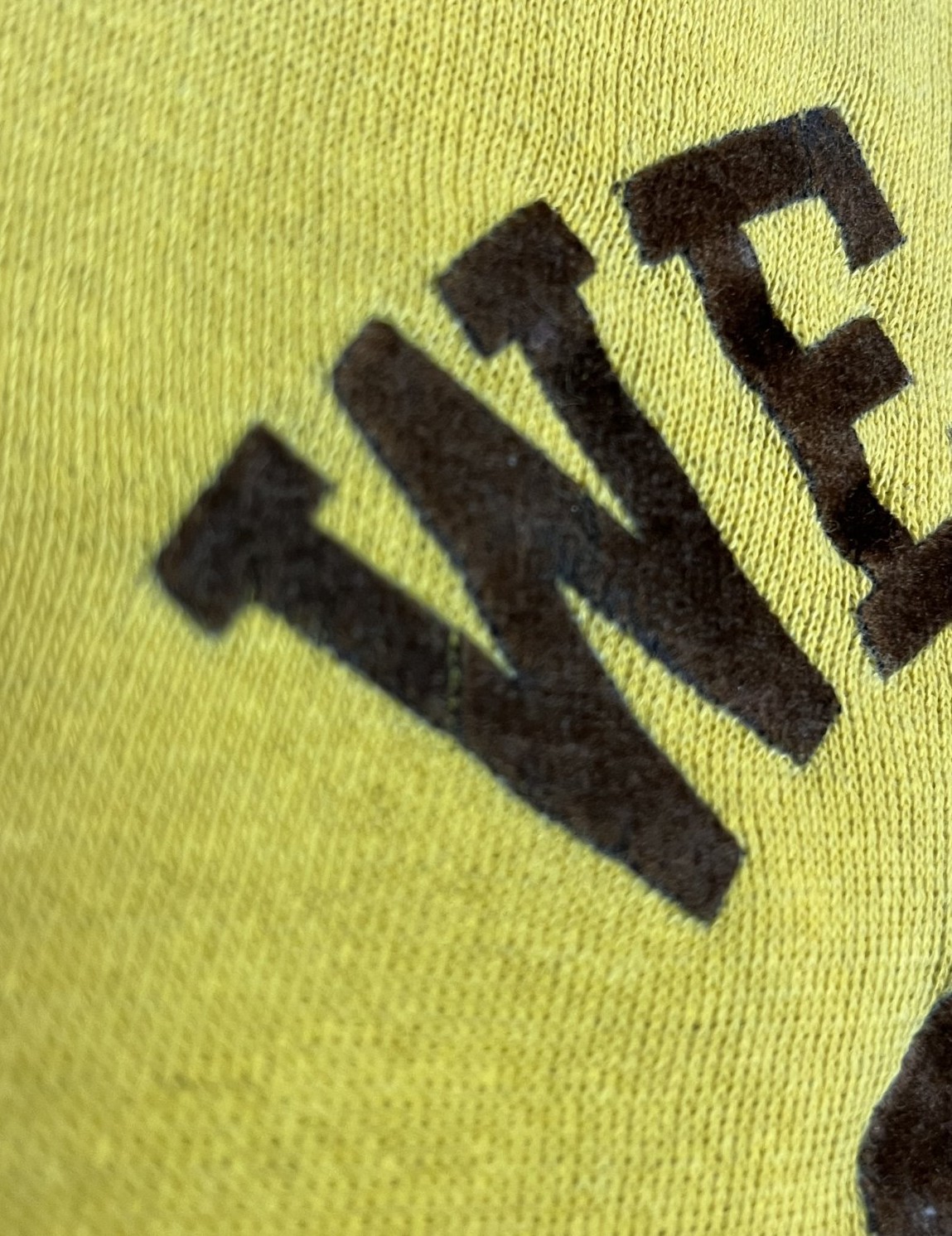 画像4: 80'S CHAMPION トリコタグ フロッキープリント ラグランスリーブ スウェット マスタード USA製 (VINTAGE)