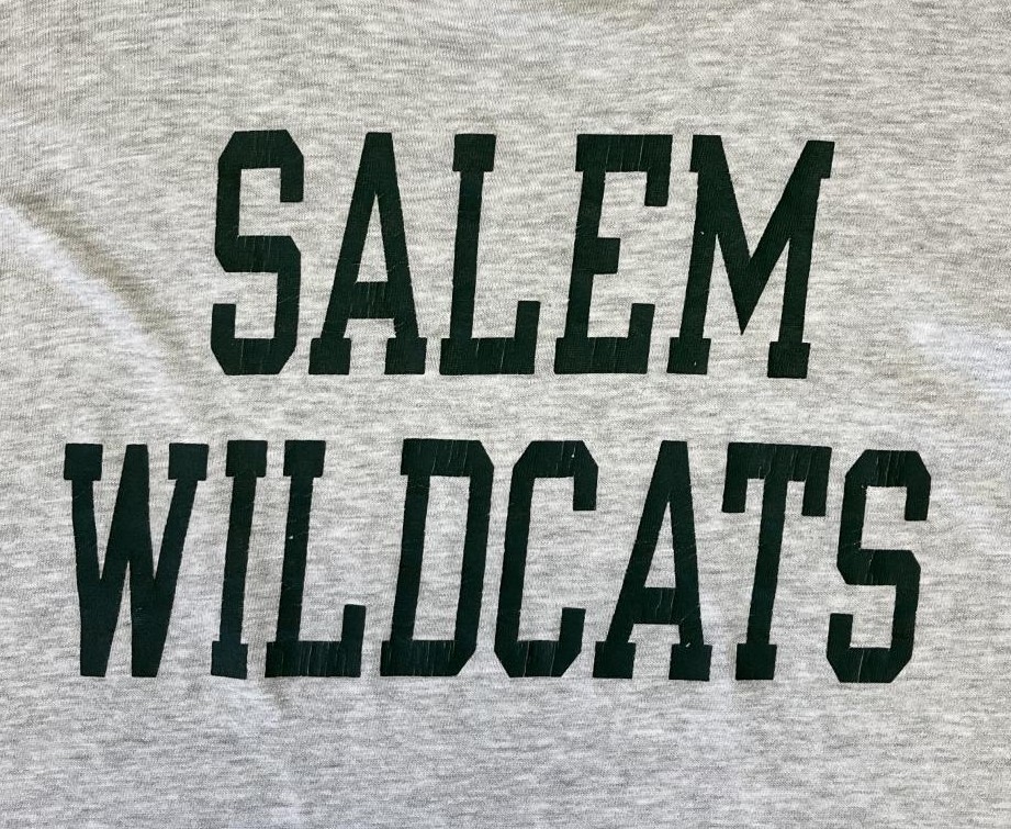 画像: 90'S CHAMPION 青タグ シングルステッチ 半袖 Tシャツ アッシュグレー USA製 (VINTAGE)