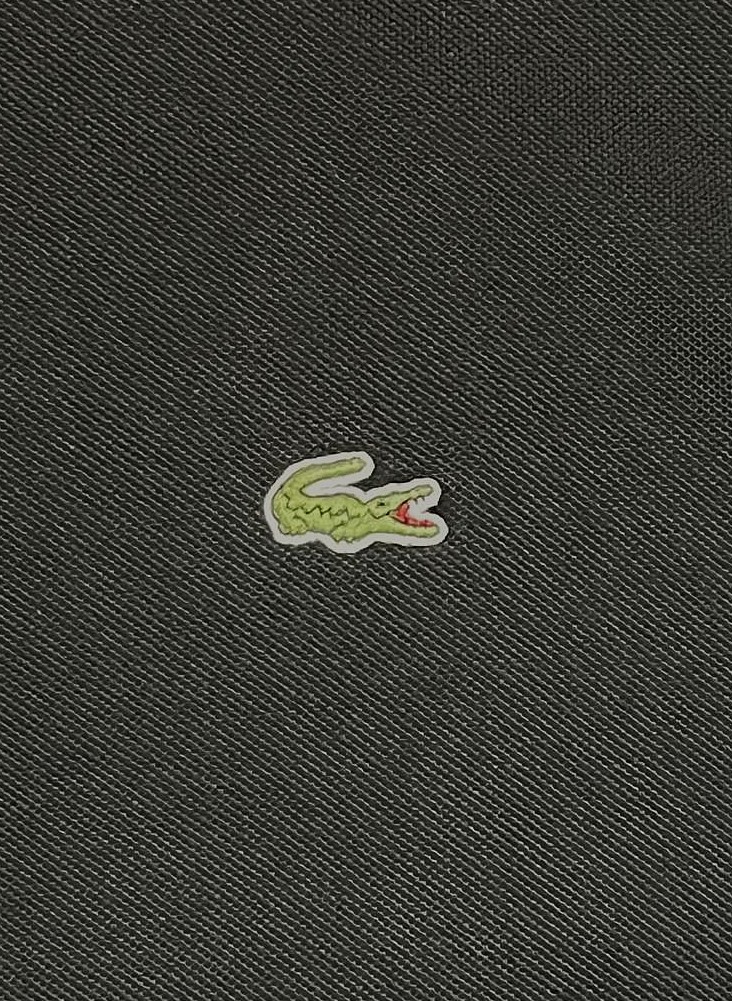 画像4: 90'S CHEMISE LACOSTE 長袖 ポロシャツ ブラック フランス製 (VINTAGE)